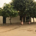 whatsapp-image-2020-08-30-at-10.26.29-pmAB_637344587301733820